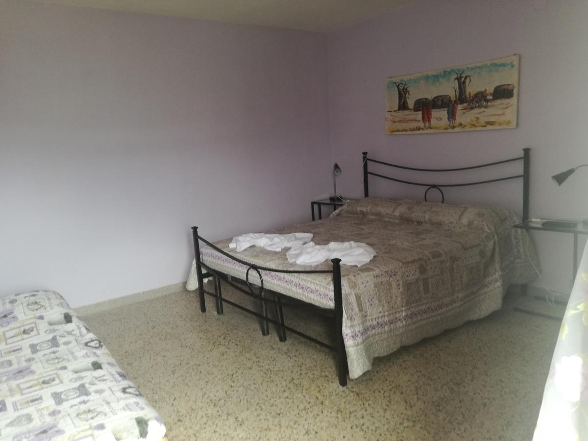 B&B La Rondinella Montecerboli 外观 照片